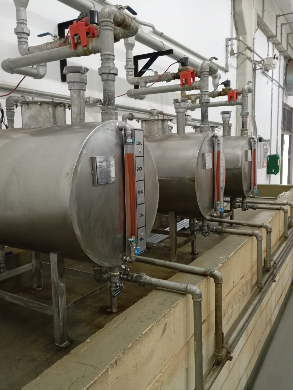 WhatsApp Image 2026-03-20 at 15.46.29